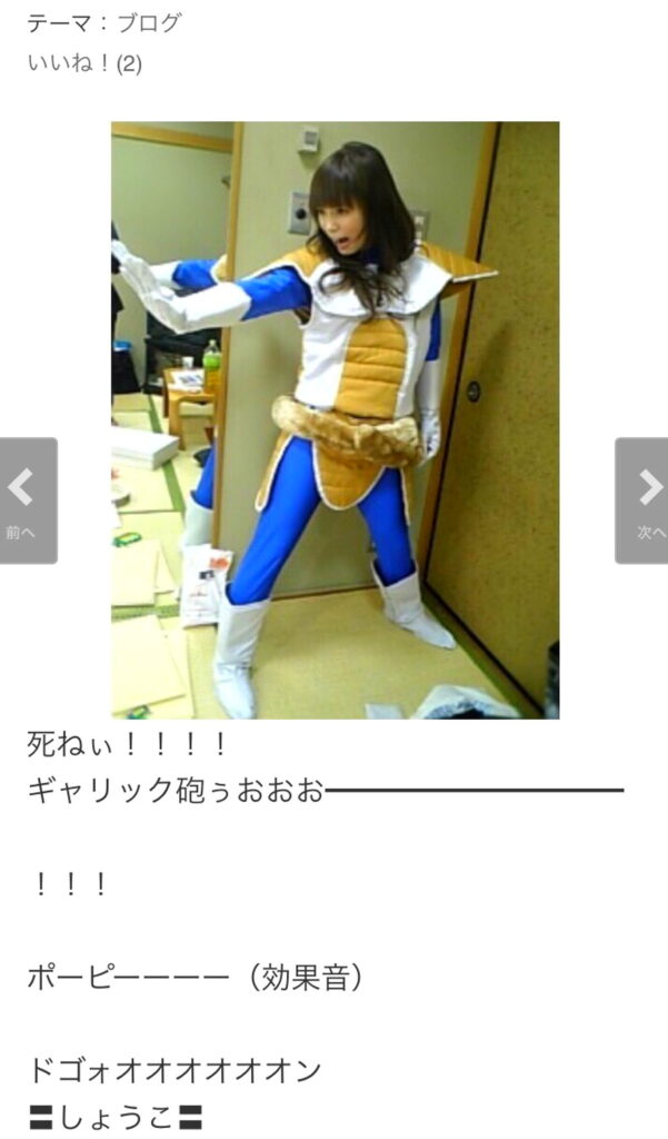 中川翔子 ベジータ ギャリック砲 ビッグバンアタック