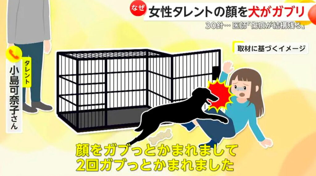 小島可奈子 犬 噛まれた FNN