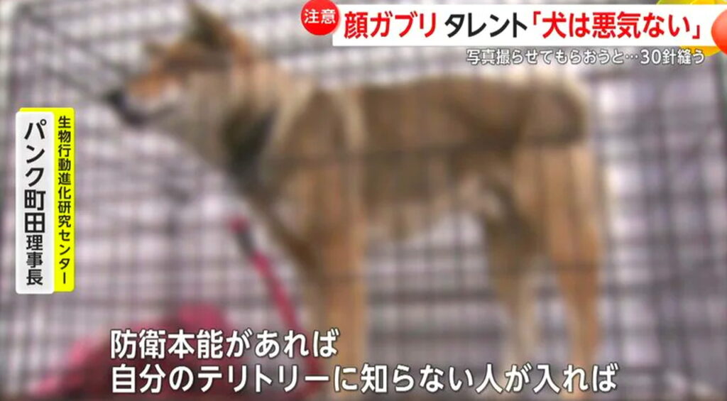 小島可奈子 犬 噛まれた FNN