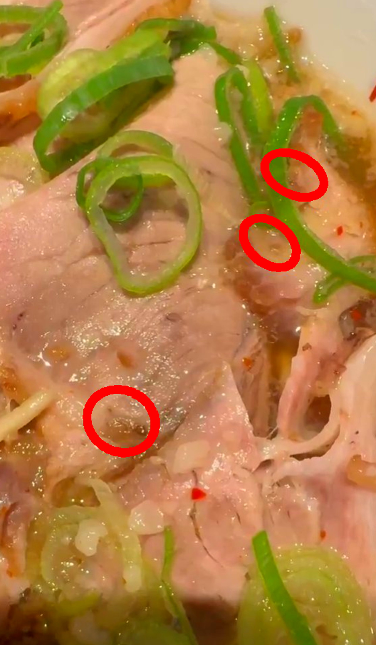 来来亭 ラーメン ウジ虫 浜松幸店 X