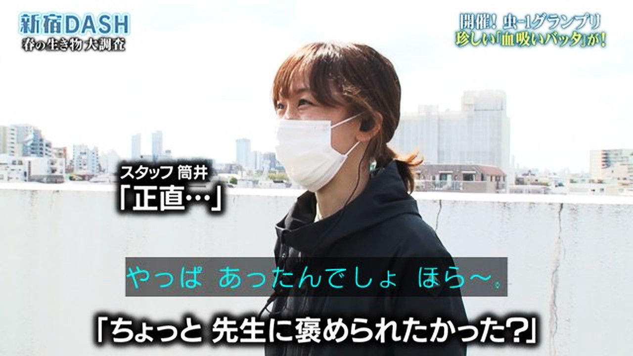 鉄腕DASH 女性スタッフ 筒井 日本テレビより